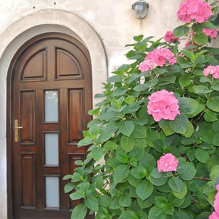 B&B Casa Antonia Trentinara Exteriör bild