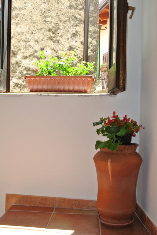 B&B Casa Antonia Trentinara Exteriör bild