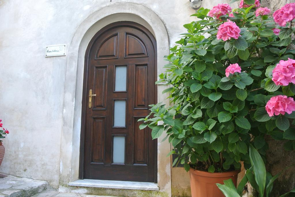 B&B Casa Antonia Trentinara Exteriör bild