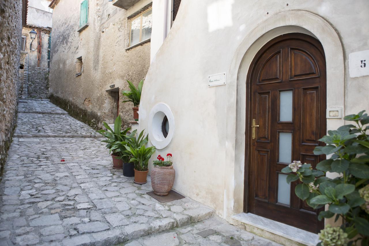 B&B Casa Antonia Trentinara Exteriör bild