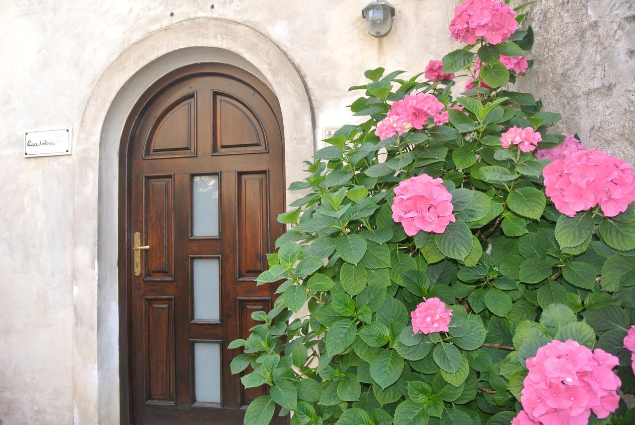 B&B Casa Antonia Trentinara Exteriör bild